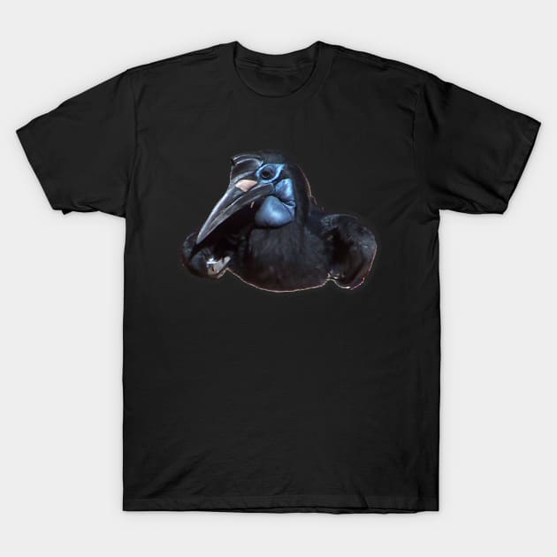 Abyssinian Ground Hornbill T-Shirt by Sharonzoolady